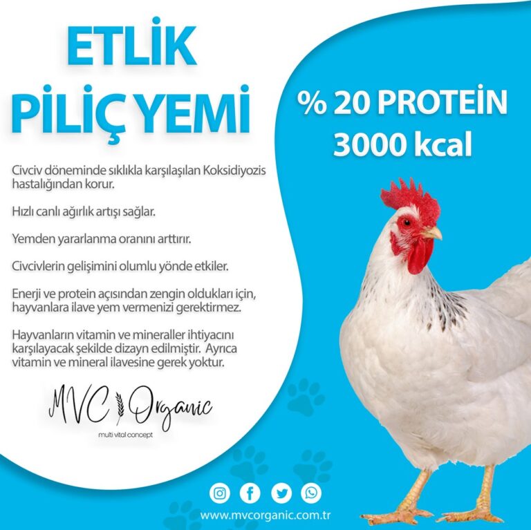 Etlik Piliç Yemi (20 HP - 3000kcal)