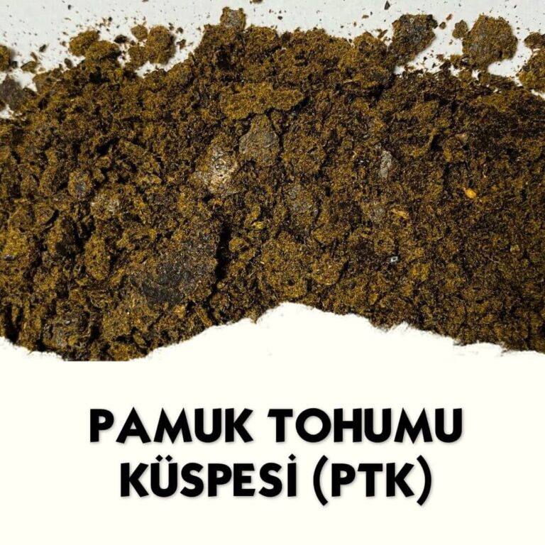 Pamuk Tohumu Küspesi (PTK) photo review