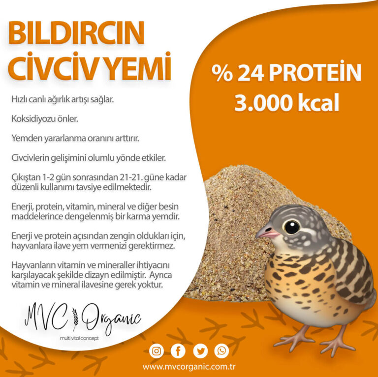 Bıldırcın Civciv Yemi (24HP) photo review